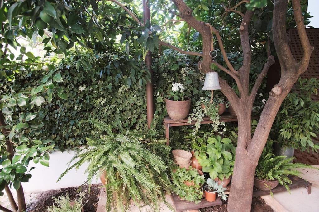 La Casa Del Jardin Villa Candeleda Exterior photo